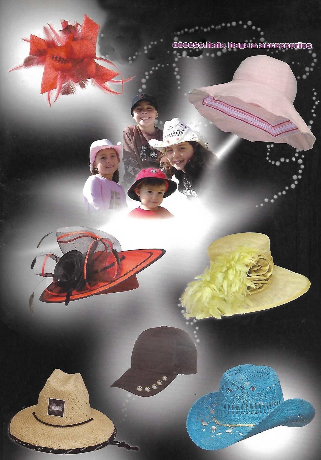 eel_0001.jpg eel_0001.jpg