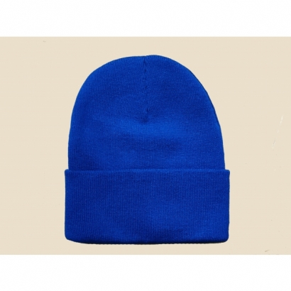 Beanie Blue.jpg